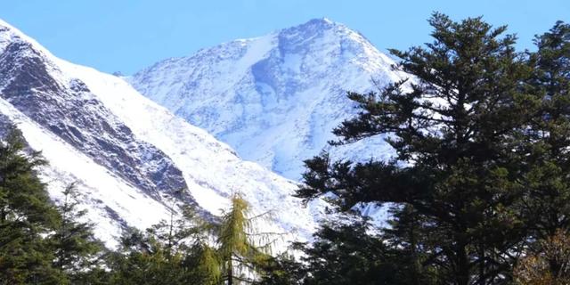 温泉免费泡！草科温泉特色小镇保姆级攻略，带你抢先玩转贡嘎南麓！