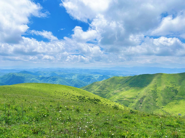 武山县杨河镇：山水酿清凉 云溪享夏梦（组图）