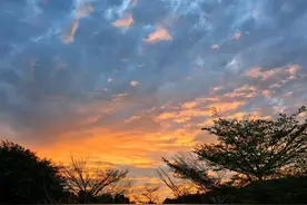 《五十年后同学梦中再相逢》——写给五十年前的老同学图片