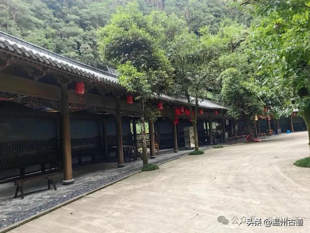 温州这个以畲族始祖命名的4A级景区，秘藏着一座“生物王国”！