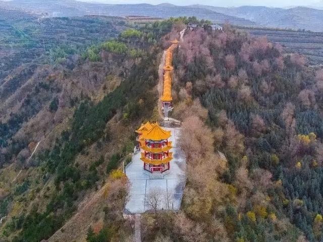 【联动宣传】秋日定西，金色相逢｜寻找陇中最美黄叶打卡地