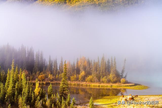 我的阿勒泰之旅(1)