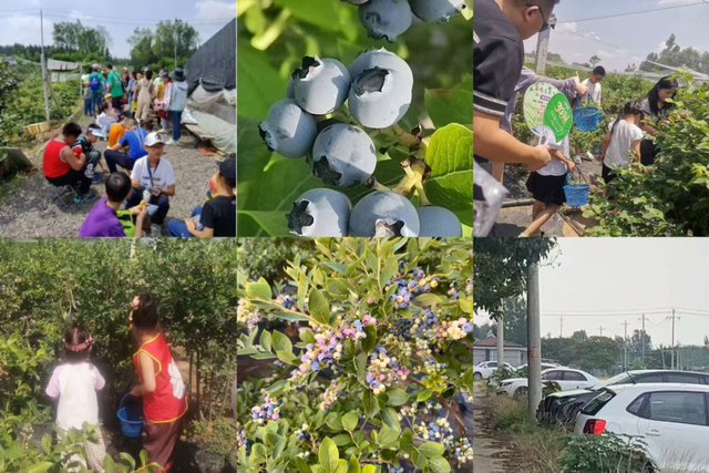 暑假遛娃攻略！淄博这4条宝藏线路，承包夏日快乐清单～