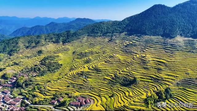 崇山峻岭间，英川镇凤凰寨梯田，以其千年积淀的农耕智慧静默矗立
