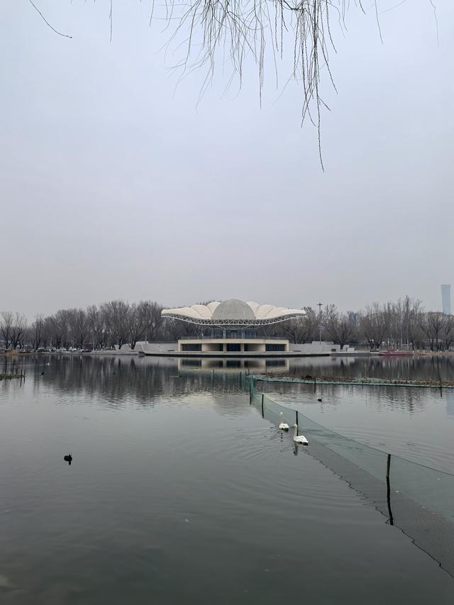 京都春寒中的感受