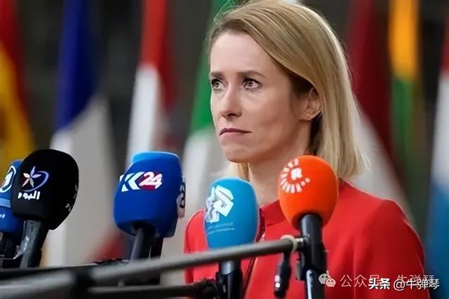 牛弹琴：中国对欧盟外长的言论很愤怒