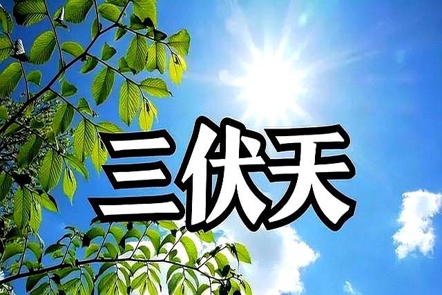 “早入伏凉得早。晚入伏热得跳”，7月20号入伏，入伏是早是晚？