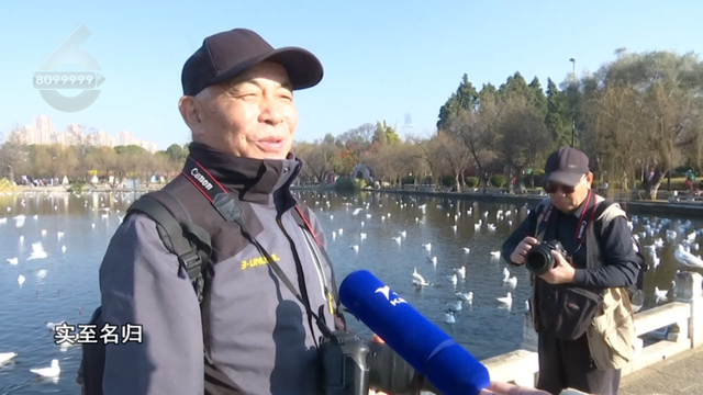 云南上榜全球最佳目的地！跟着《纽约时报》，重新走一遍茶马古道