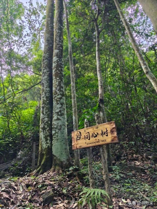 2天旅行，教会我的比职场10年都多