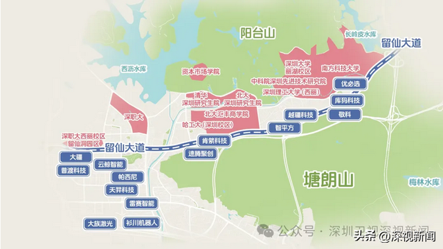 国常会最新部署，深圳这一赛道抢占新风口