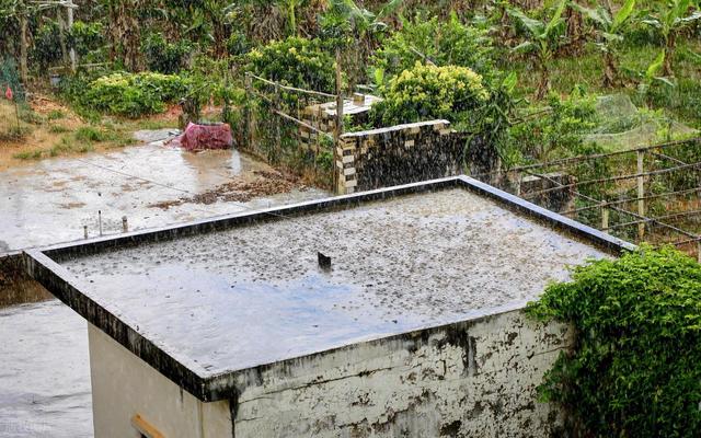 散文·中秋连云港 大雨润山河