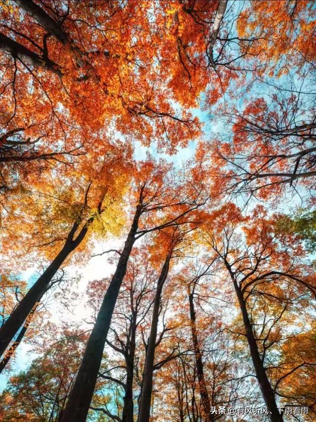 秋染山河
