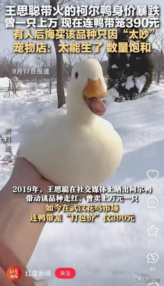 “鸭中爱马仕”跌落神坛，从上万一只到300元甩卖无人在意！