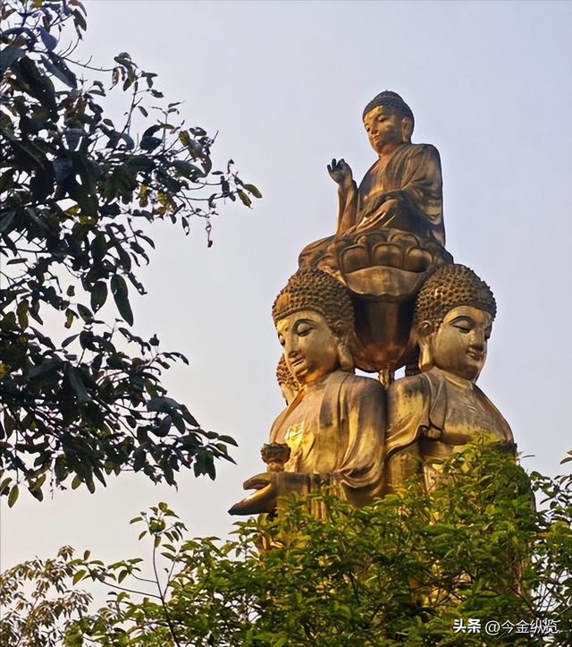 合川爆火！一口甜香传百年，一城改写世界历史，这趟真的非去不可