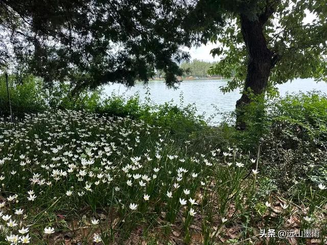 周末徒步，爬西山、走千步岩、过东风坝，我们在山水间快乐行走