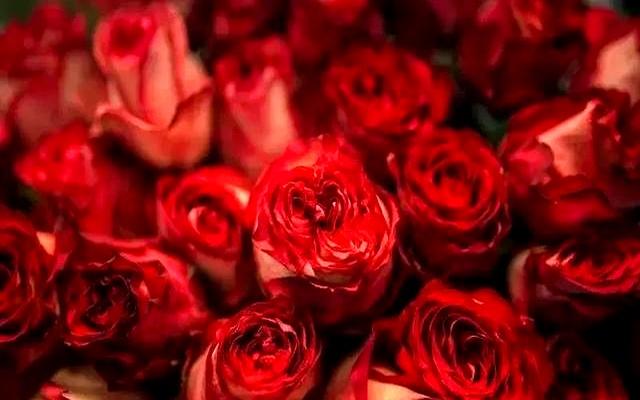 心理学家：出门后反复检查门锁！其实是一种精神异常