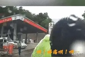 云南“碰瓷式”执法后续！执法人员停职处理，或涉嫌诬告陷害罪图片