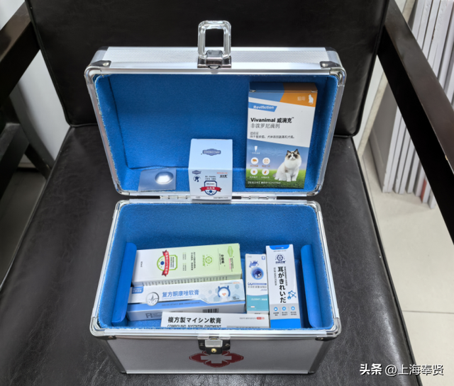 从“流浪无依”到“宠爱有道”，金海街道这个社区有“喵”招→