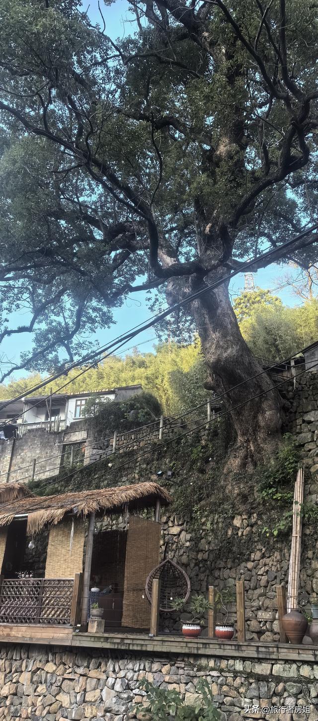 徒步奉化大雷山，古村、古道、梯田、秋景全部包揽