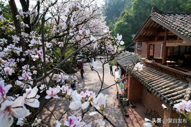 全球达人“种草”!云南入选全球2026年最值得去的地方