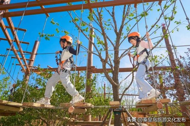 秦皇岛渔田七里海度假区暑假首刷必看！全天游玩攻略已备好，放心冲！