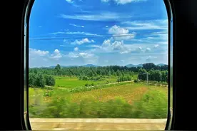 银发族为何会爱上专列旅游？图片