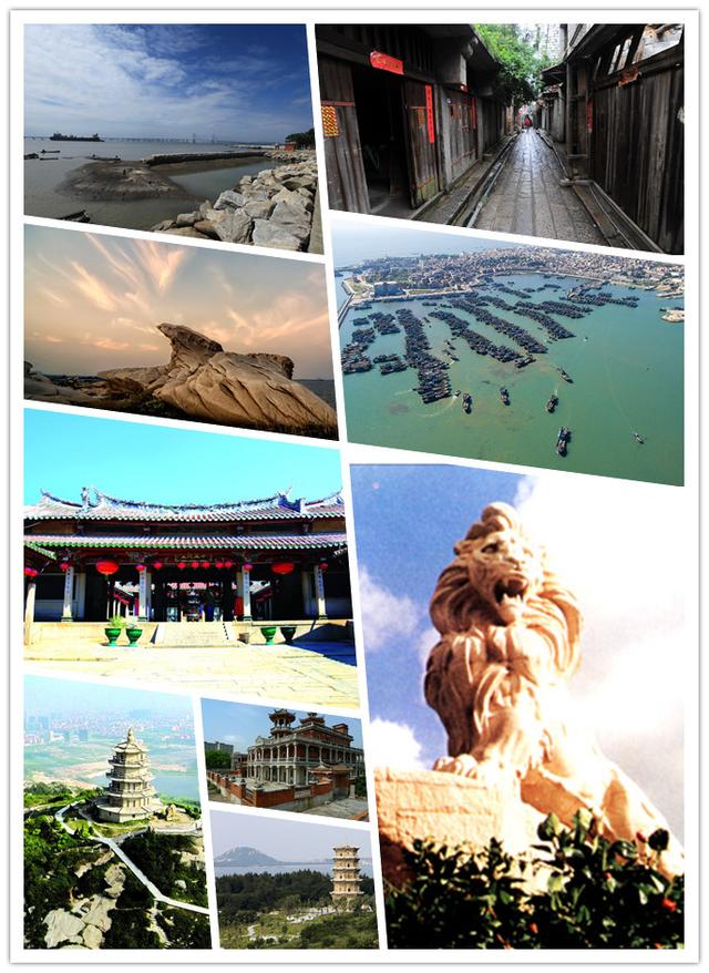 姚晨同志个人简历