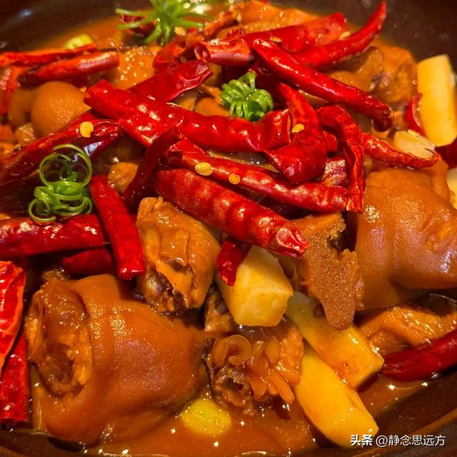 河南人去了青岛和日照，直言不讳：青岛人和日照人气质截然不同！