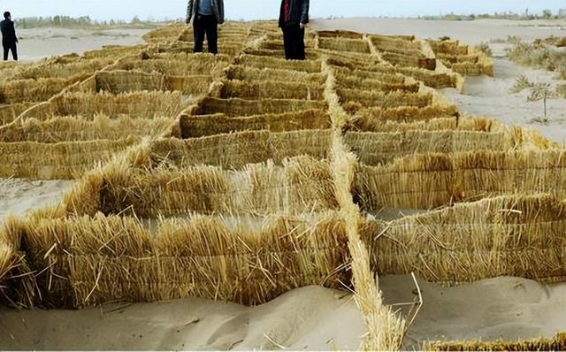 中国发明高效率“吞沙巨兽”，一天吞噬沙漠40亩，已在甘肃使用