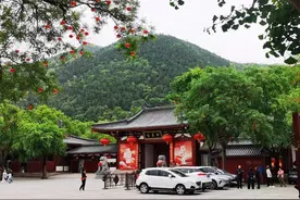 免费！折扣！一大批景区福利来了图片