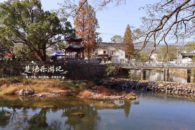 这里不愧是文化名村与景区村庄，银杏与红枫相映，美得一塌糊涂