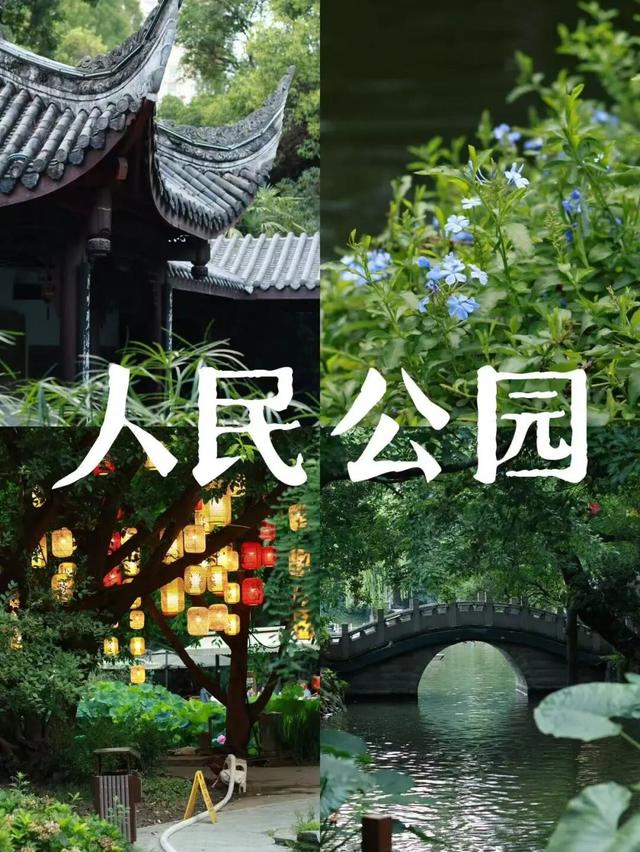 成都公园的中式美学也太绝了，这波必须狠狠夸！