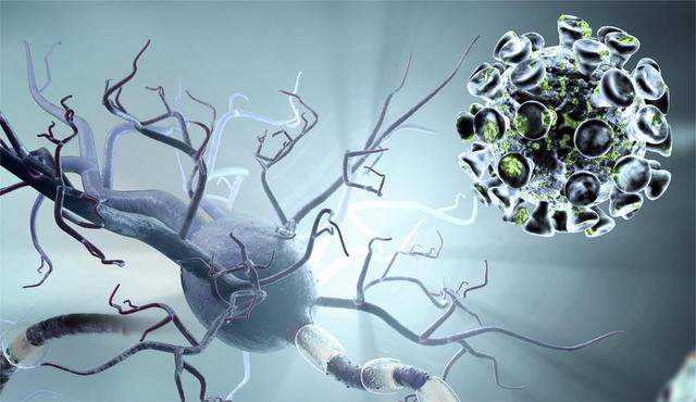 为什么现在癌症高发？看看这7种蔬菜，你家里常吃吗？赶紧扔掉！