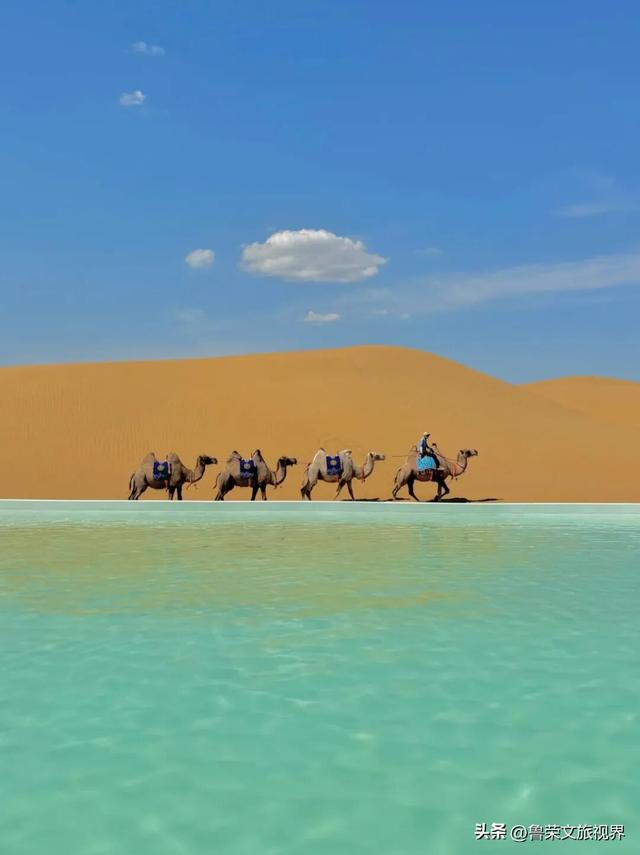 低调的财富绿洲：解锁鄂尔多斯的秘境之旅