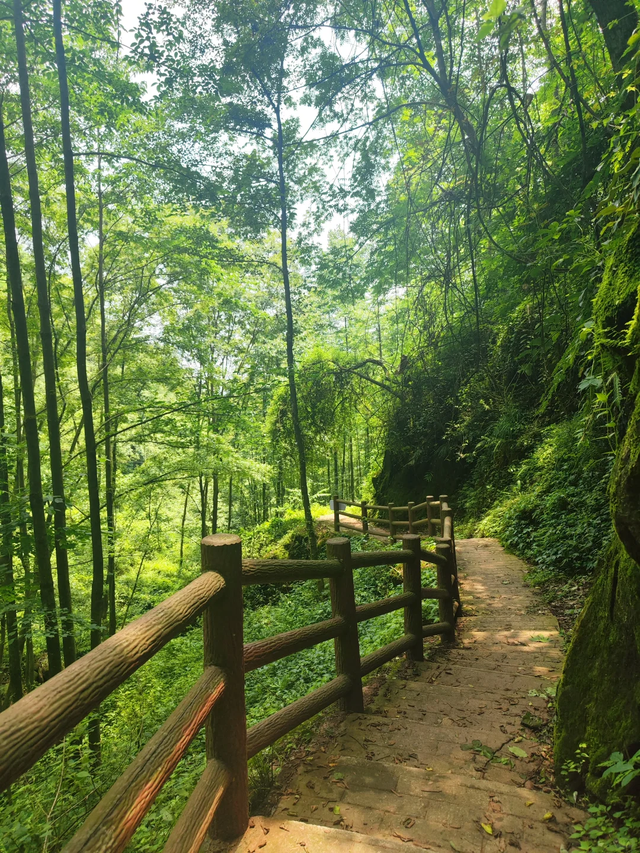 实测低9℃！成都1.5h的免费溯溪玩水遛娃路线，超安逸！