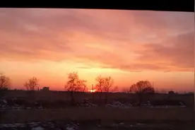 2024中国农林类最好高职院校排名，江苏农牧科技职业学院前三图片