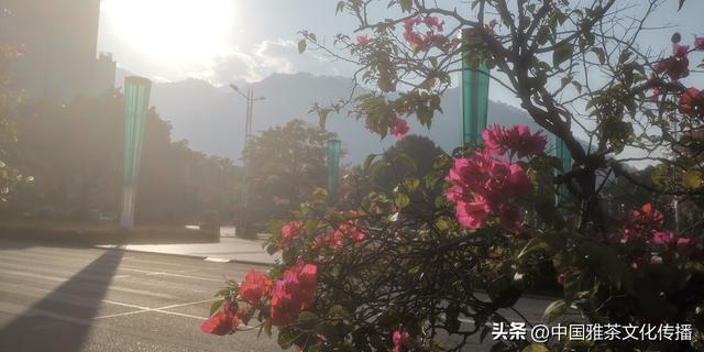 米易康养，相约暖阳