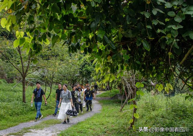 广东信宜：天马山引客来