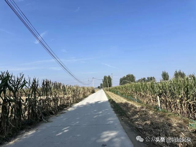 冠县乡韵·兰沃乡大柳邵村