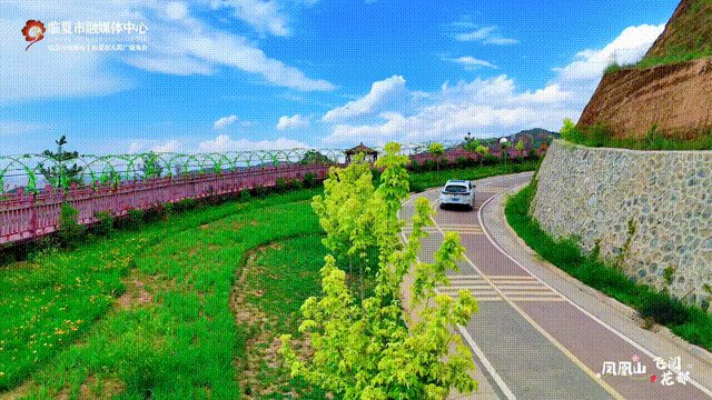 飞阅花都③丨初秋时节，邂逅凤凰山的斑斓盛景