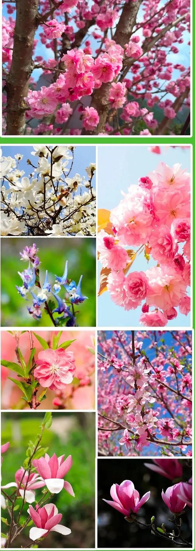 汉中黎坪景区闭园公告