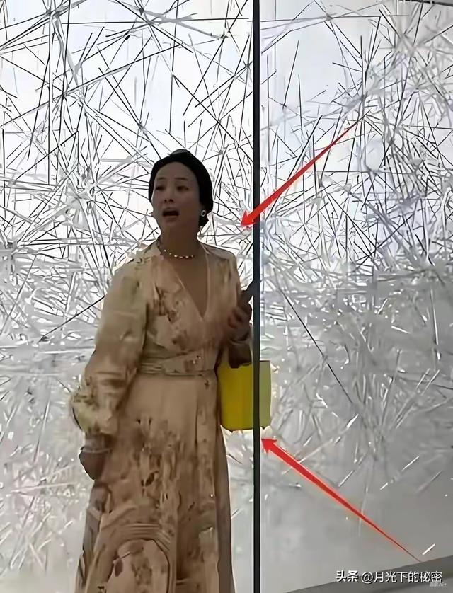 天呐！刘亦菲妈妈被偶遇，都65岁了，还是美得不像话！太让人羡慕