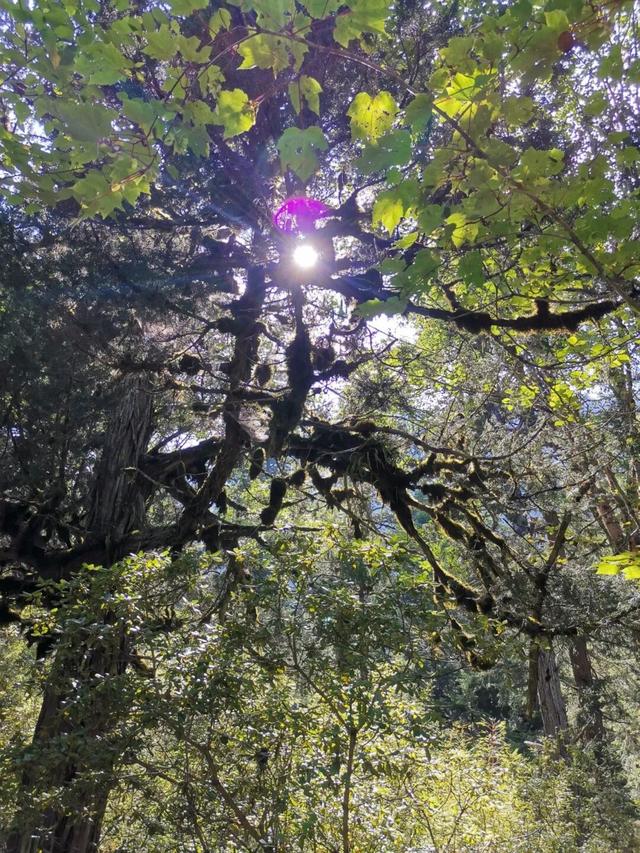 九月开学季，赴九寨沟初秋之约，拾山水间的松弛