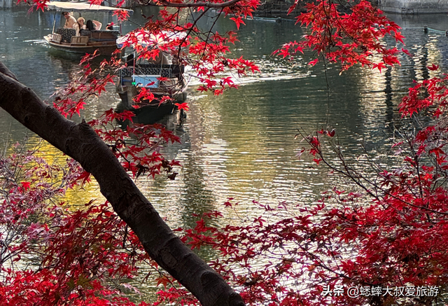 来了杭州“西湖枫景”才知道，原来中式氛围绝美优雅，可免费观赏