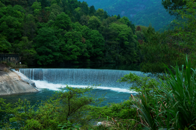 全域好水 亲水纳凉 | 在武夷山，与所有疲惫温柔和解