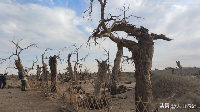 2025国庆西北自驾游（3）：黑城弱水胡杨风景区