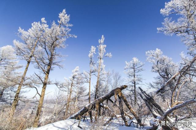 “最怕十月初一是晴天”，今日十月初一，晴天有啥预兆？