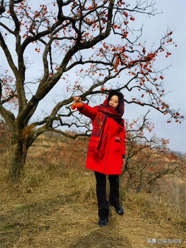 彬州市：多举措提升罗店村柿林观赏地游客满意度