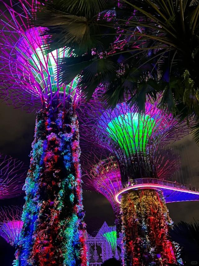 新加坡+巴瓦私人岛 7 天 6 晚攻略，一次解锁城市与海岛两种度假体验