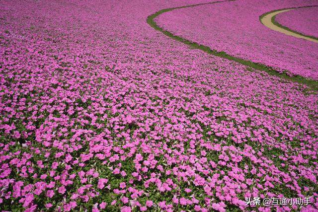 腾龙 16-30mm F/2.8 Di III VXD G2 镜头评测